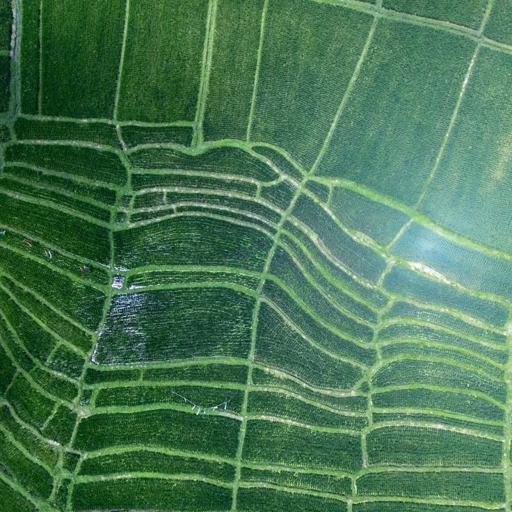 Family-friendly dining with comfortable seating